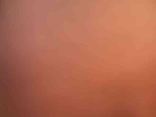 Модель: Cinnabon_ga