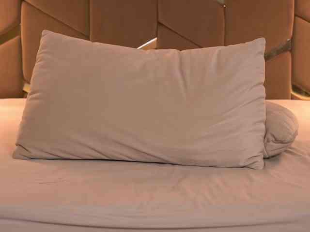 Cinnabon_ga webcam