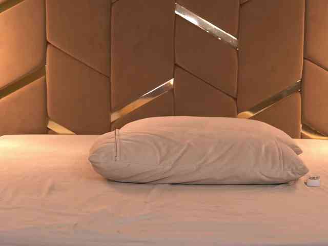 Girl-Pleasure Live Webcam on BongaCams