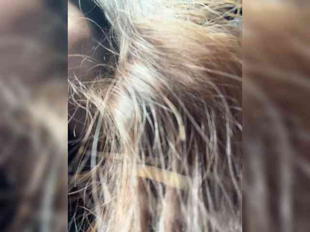 -MaybeBaby-