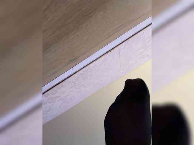 -MaybeBaby- webcam