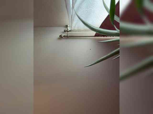 -MaybeBaby- Live Webcam on BongaCams