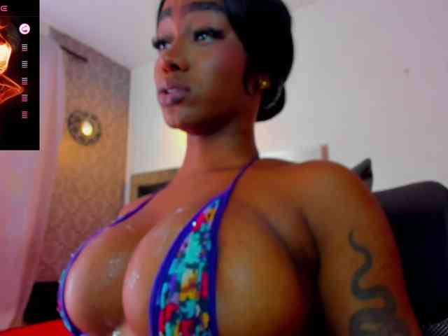 Modelo: IdaaraSmith