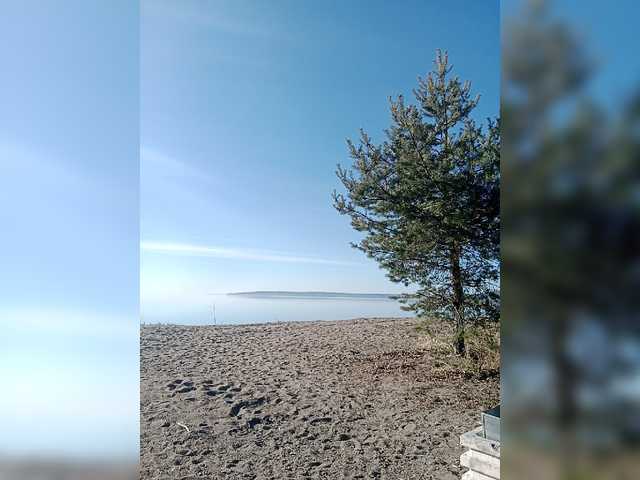 SashaLyubov's BongaCams show and profile