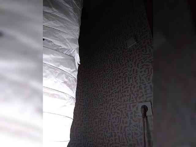 SashaLyubov webcam