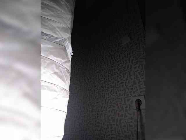 SashaLyubov webcam