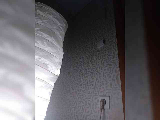 SashaLyubov webcam