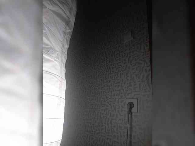 SashaLyubov webcam