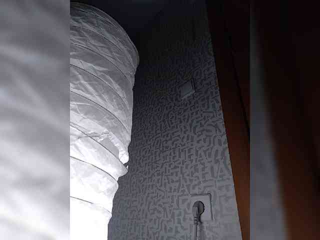 SashaLyubov webcam