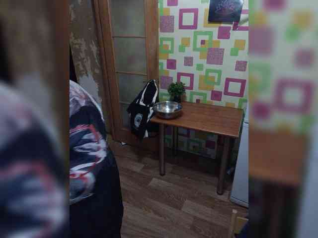 SashaLyubov webcam