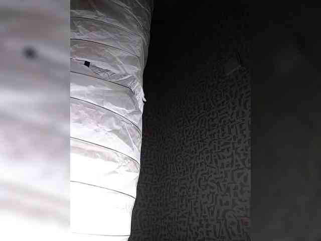 SashaLyubov webcam