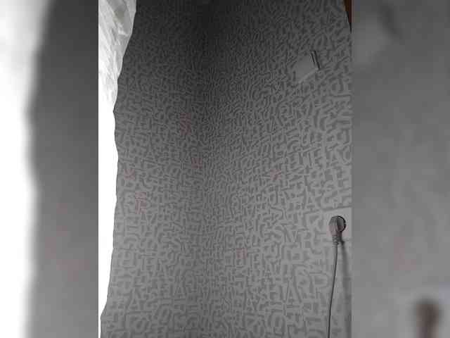 SashaLyubov webcam