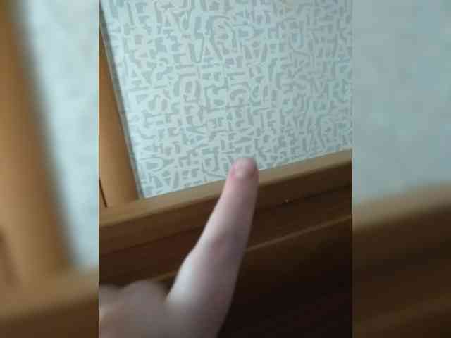 SashaLyubov webcam