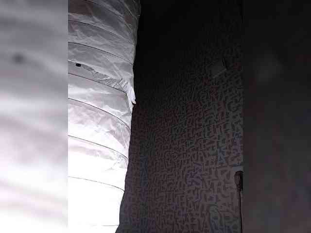 SashaLyubov webcam