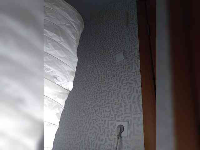 SashaLyubov webcam
