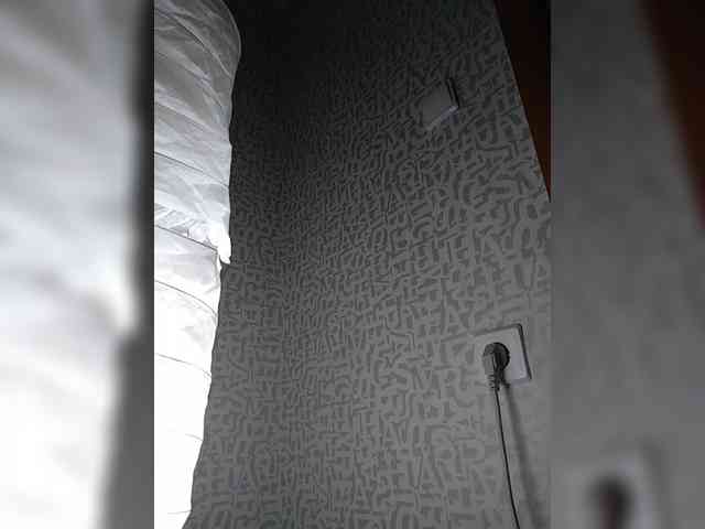 SashaLyubov webcam