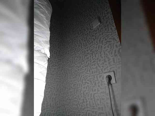 SashaLyubov webcam