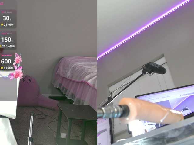 Cutie-V97 live cam on BongaCams