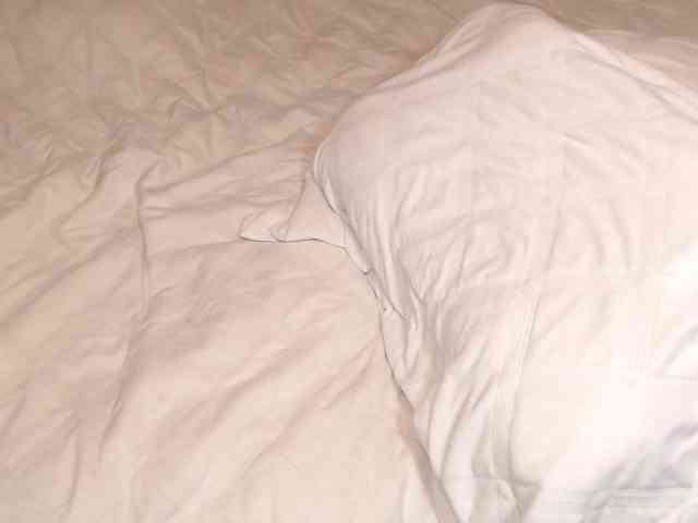 angelnextdoor webcam