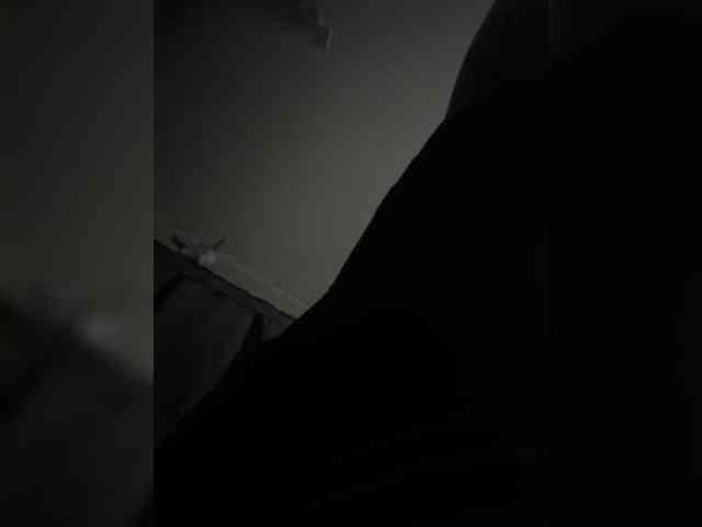 Manamy webcam