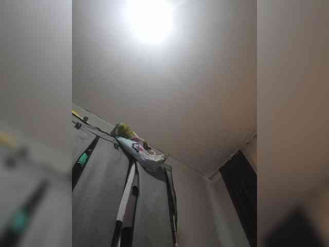Manamy webcam