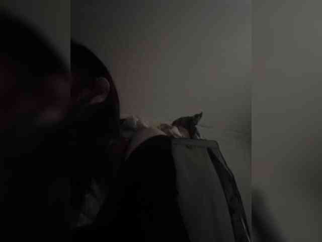 Manamy webcam