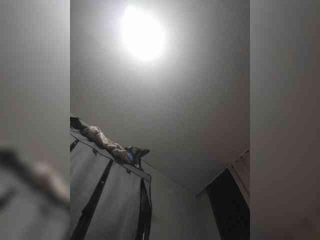 Manamy webcam