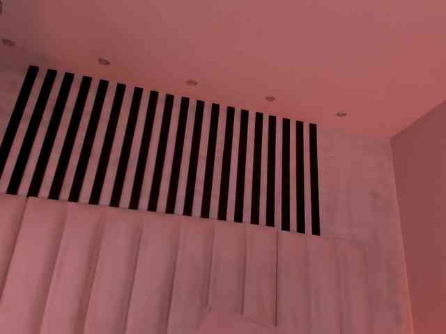 ErikaBenz webcam
