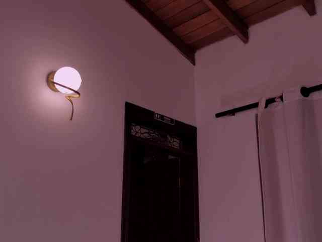 ErikaBenz webcam