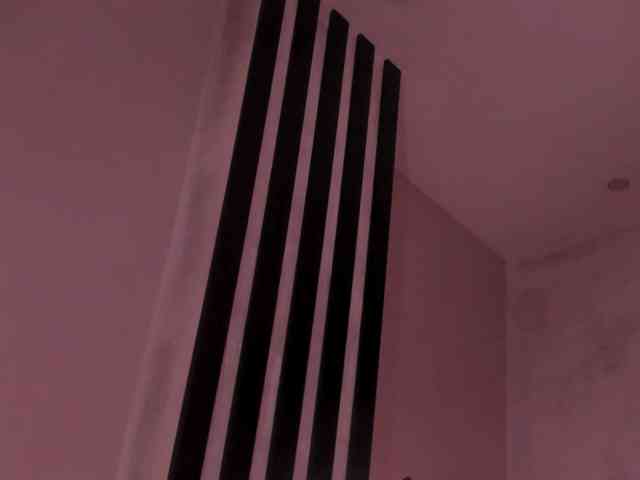 ErikaBenz webcam