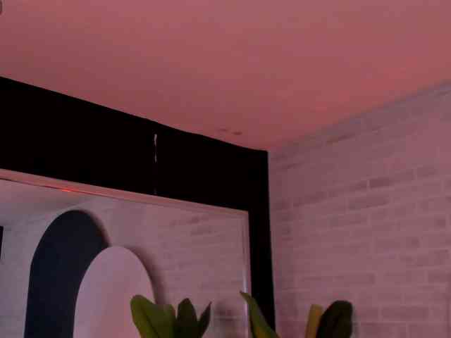 ErikaBenz webcam