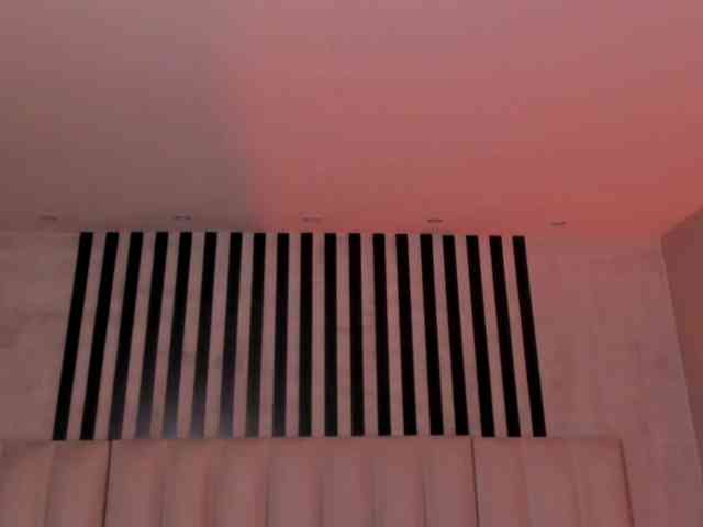 ErikaBenz webcam