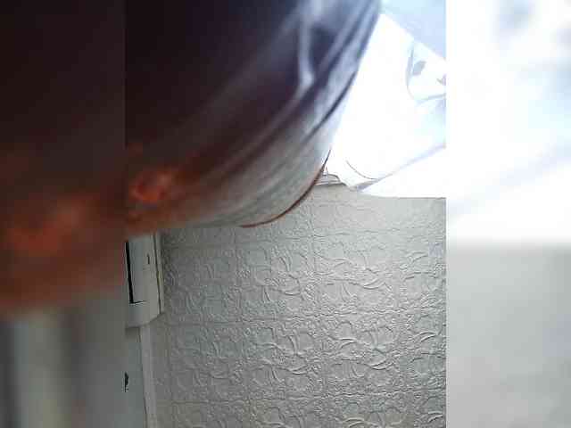 MerellinFicus webcam