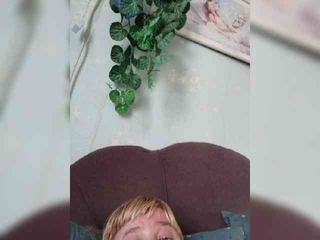 MerellinFicus webcam