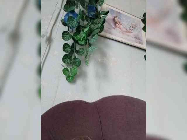 MerellinFicus webcam