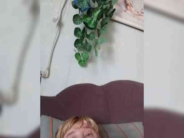 MerellinFicus webcam