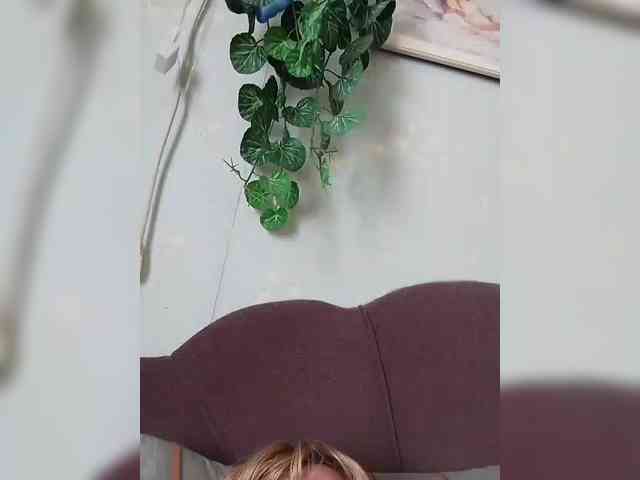 MerellinFicus webcam