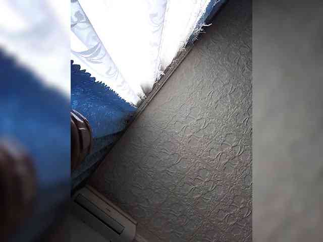 MerellinFicus webcam