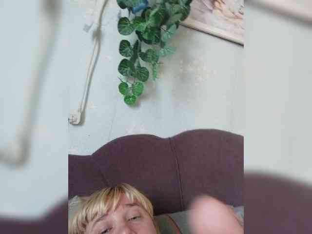 MerellinFicus webcam