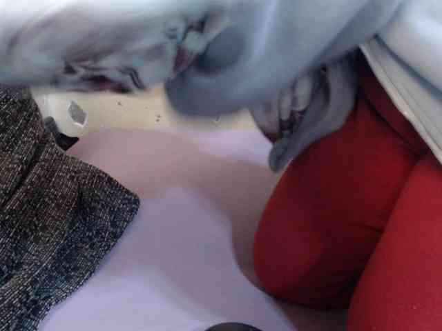 Anialove webcam