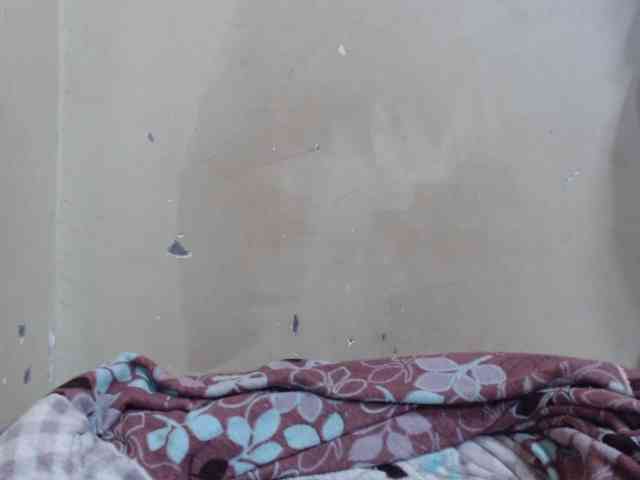 Anialove webcam