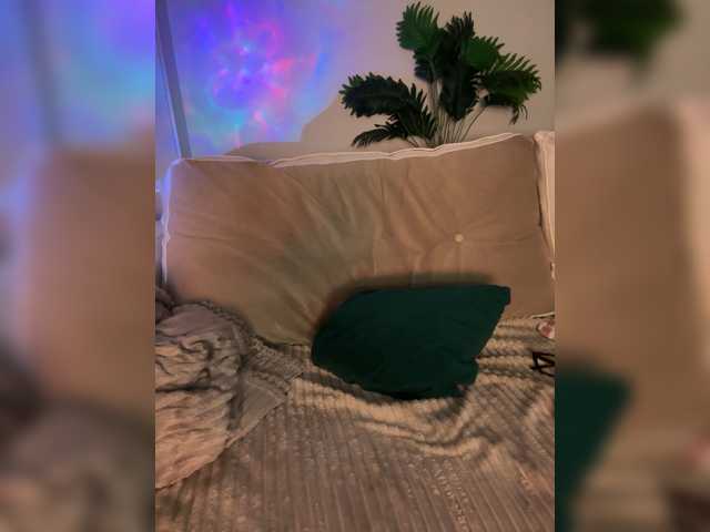 SugarDi live cam preview