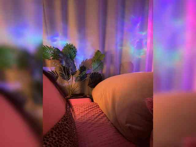 SugarDi webcam