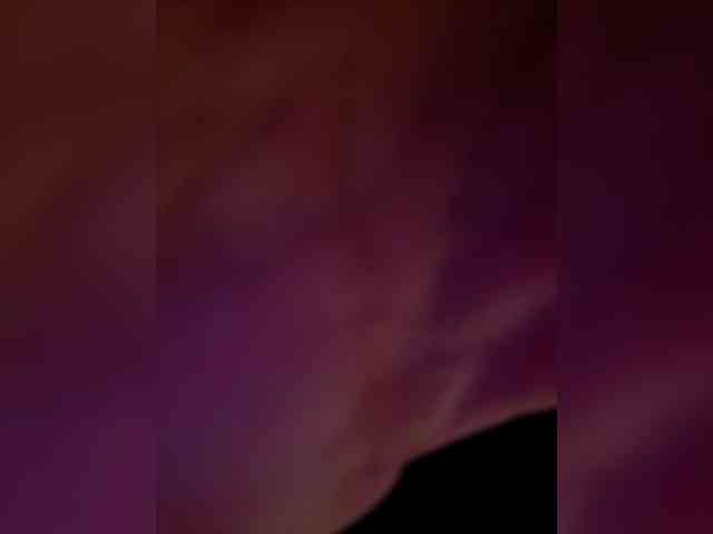 Модель: SugarDi