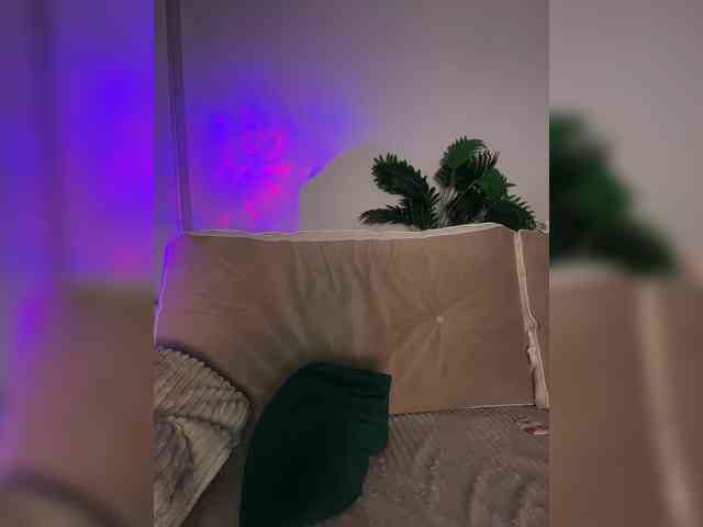 SugarDi webcam