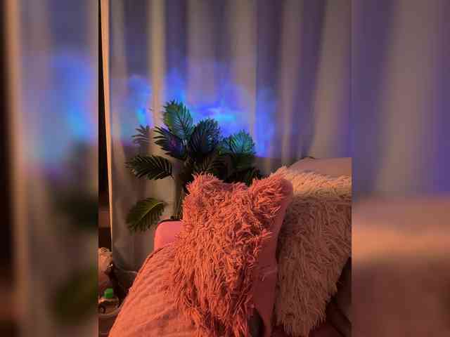 SugarDi webcam