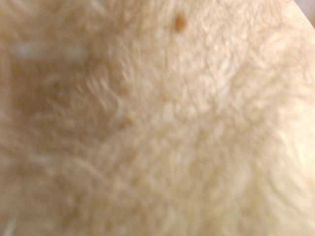 Marina-lady live cam on BongaCams