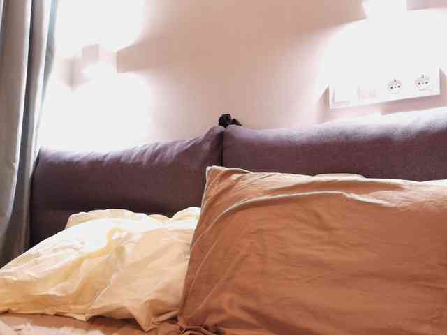 zeffirrka webcam