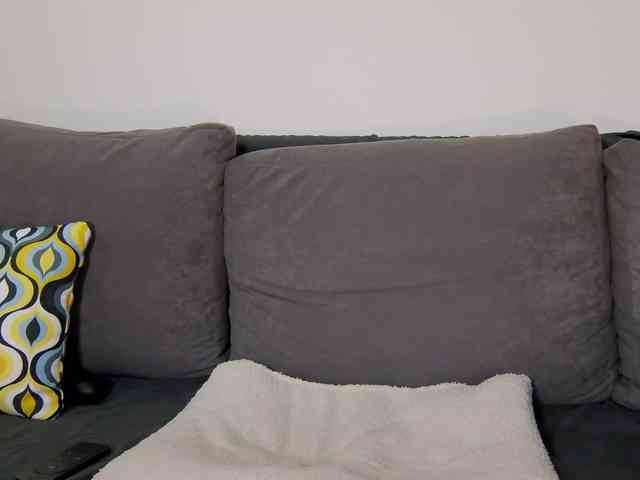 _Sweetness_ webcam