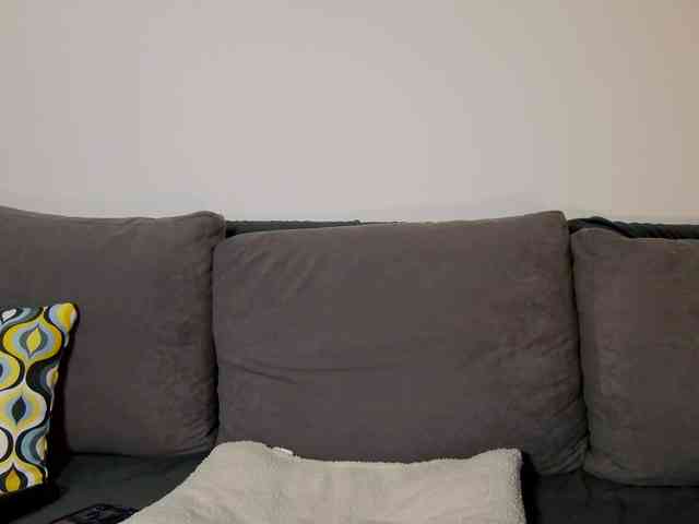_Sweetness_ webcam